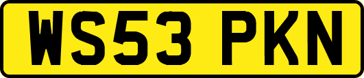 WS53PKN