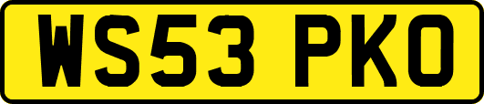 WS53PKO
