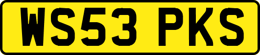WS53PKS