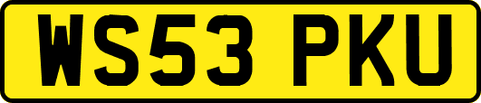 WS53PKU