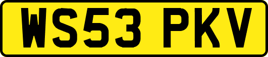 WS53PKV