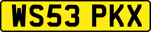 WS53PKX