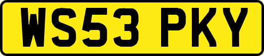 WS53PKY