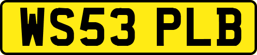 WS53PLB