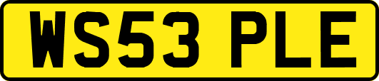 WS53PLE