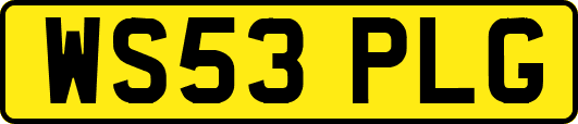 WS53PLG