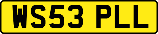 WS53PLL