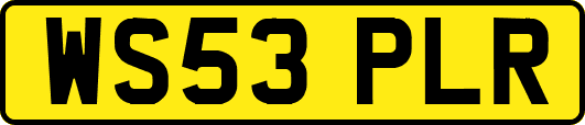 WS53PLR