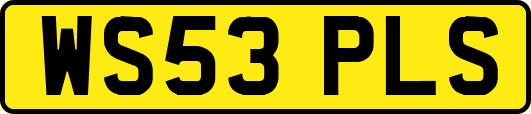 WS53PLS
