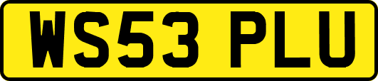 WS53PLU