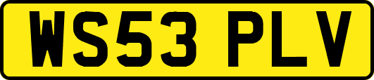 WS53PLV