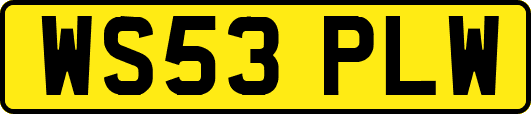 WS53PLW