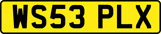 WS53PLX