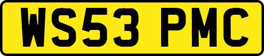 WS53PMC