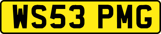 WS53PMG