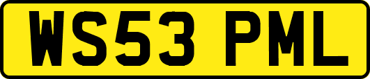 WS53PML