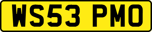 WS53PMO