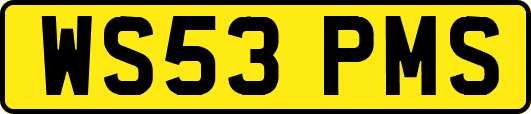 WS53PMS