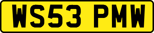 WS53PMW