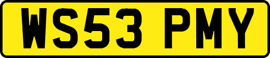 WS53PMY