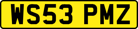 WS53PMZ