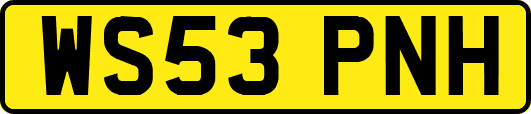 WS53PNH