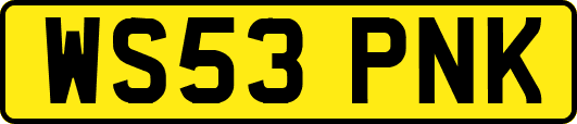 WS53PNK