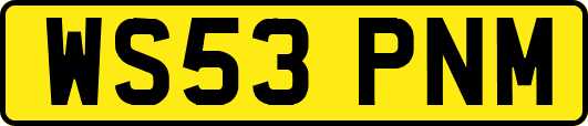 WS53PNM