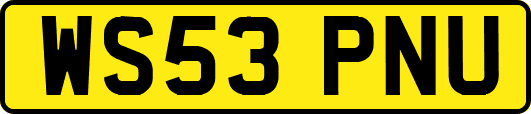 WS53PNU