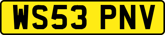 WS53PNV