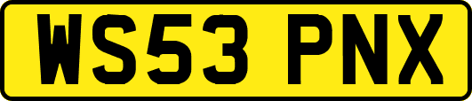 WS53PNX