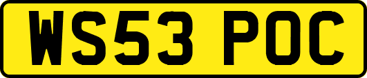 WS53POC