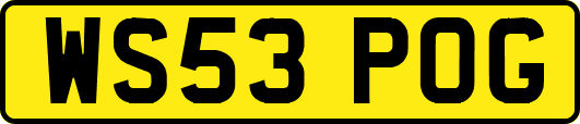 WS53POG