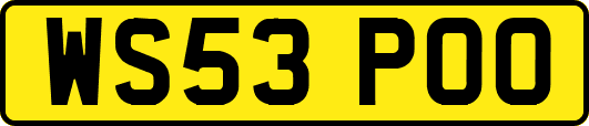 WS53POO