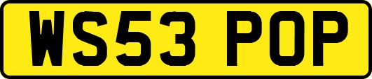 WS53POP