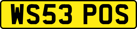 WS53POS