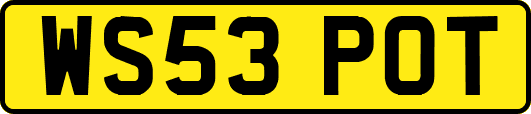 WS53POT
