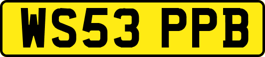WS53PPB