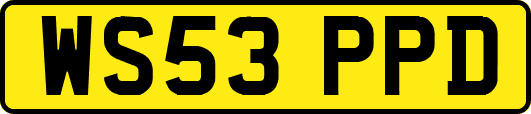 WS53PPD