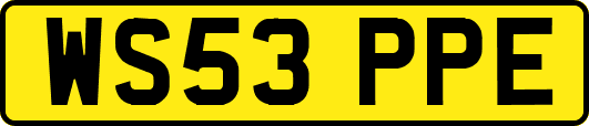 WS53PPE