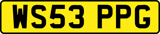 WS53PPG
