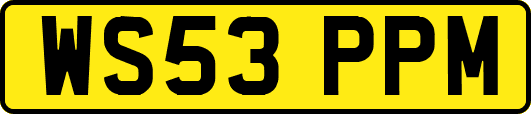 WS53PPM