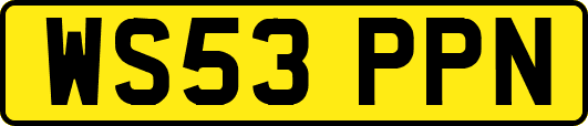 WS53PPN