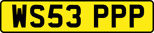 WS53PPP