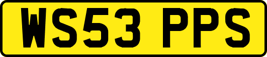 WS53PPS