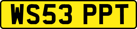 WS53PPT