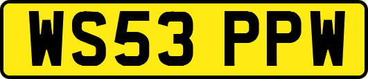 WS53PPW
