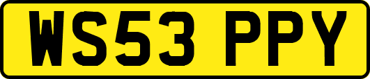 WS53PPY