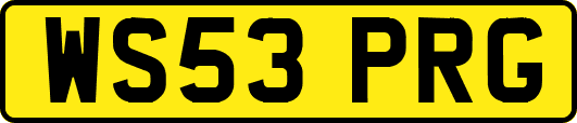 WS53PRG