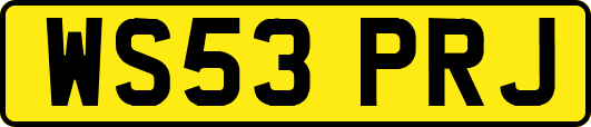 WS53PRJ